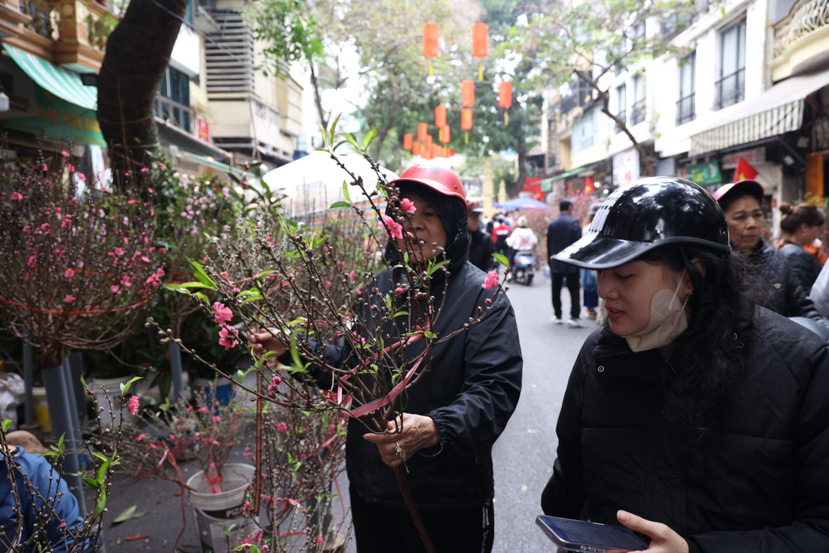 Tuy nhiên, theo chia sẻ của một số tiểu thương tại chợ hoa Hàng Lược, lượng khác "chốt đơn" mua hàng năm nay lại chậm hơn so với năm.