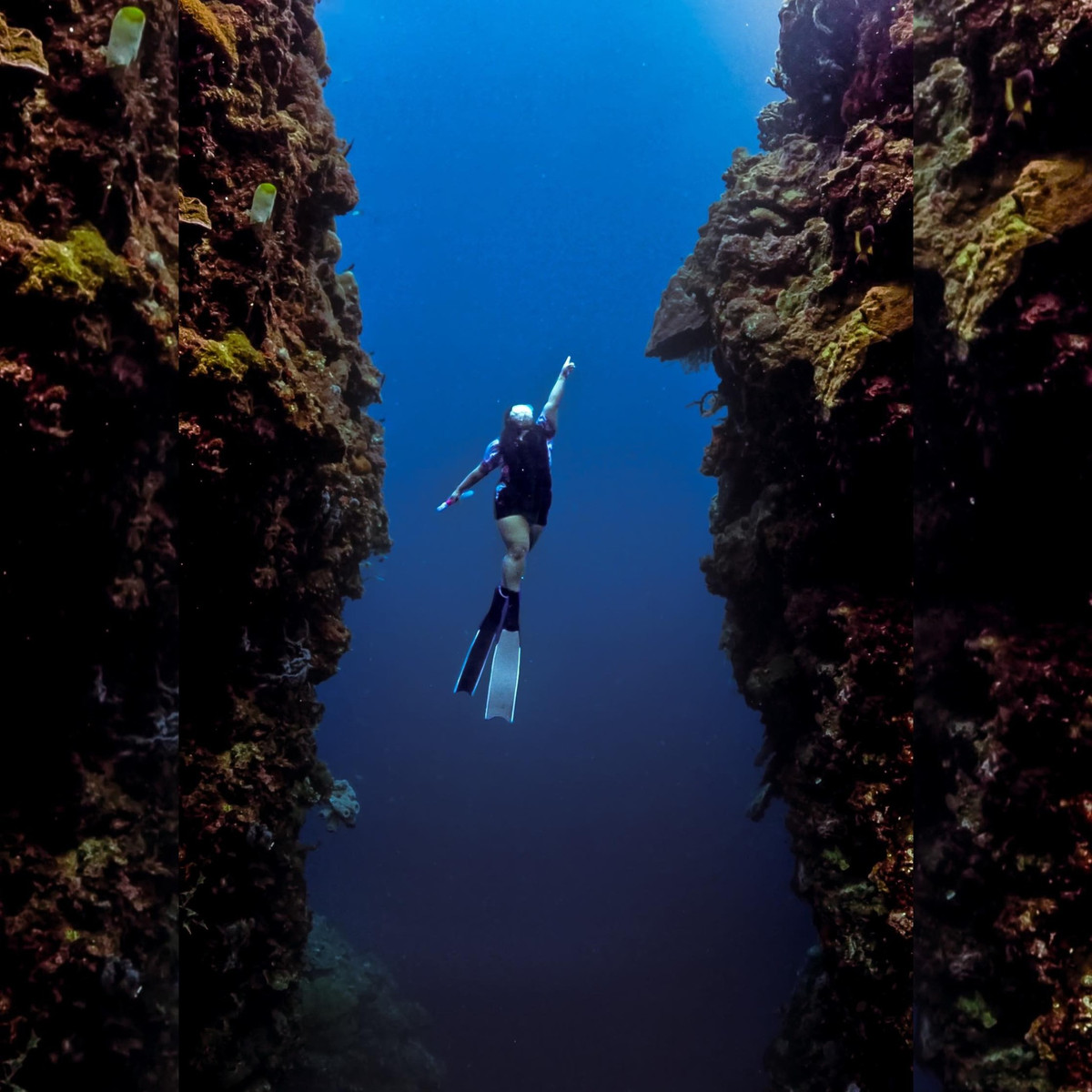 Nói về vóc dáng ngoại cỡ, Sharry Lei cho rằng nàng tiên cá không nhất thiết phải là một cô gái có thân hình cân đối, quyến rũ bởi mọi vóc dáng, độ tuổi đều có thể tham gia được.