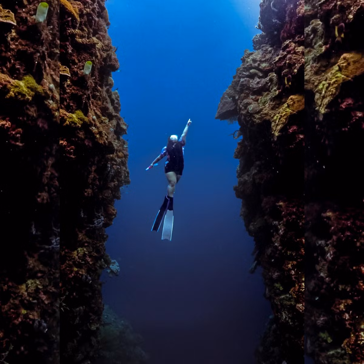 Nói về vóc dáng ngoại cỡ, Sharry Lei cho rằng nàng tiên cá không nhất thiết phải là một cô gái có thân hình cân đối, quyến rũ bởi mọi vóc dáng, độ tuổi đều có thể tham gia được.