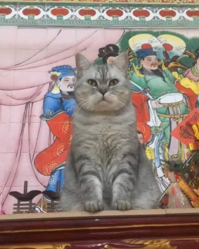 "Boss" kiếm chỗ chụp ảnh gia đình nhưng cái vị trí được chọn nó lạ lắm.