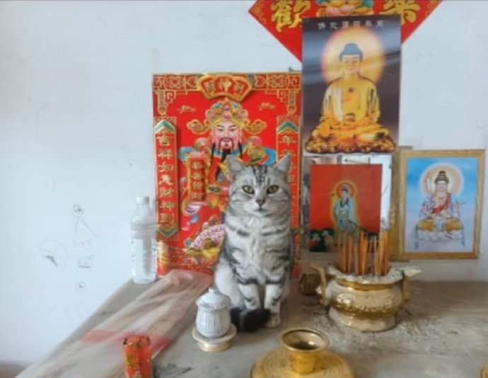 Thần tài "bất ổn", gia chủ bất lực.