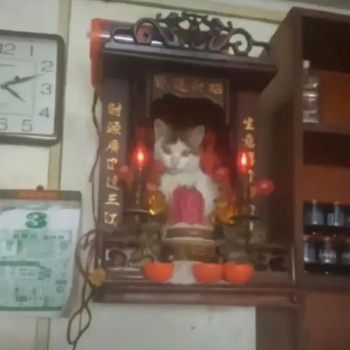 Là nơi con cháu bày tỏ lòng thành kính với các bậc Thánh Thần cũng như ông bà tổ tiên nên bàn thờ luôn được các gia đình người Việt để tâm chăm sóc. Người ta cứ bảo chủ nào tớ nấy, thế nhưng sao chủ thì thành kính bao nhiêu, lũ nặc nô mèo lại muốn leo lên bàn thờ.