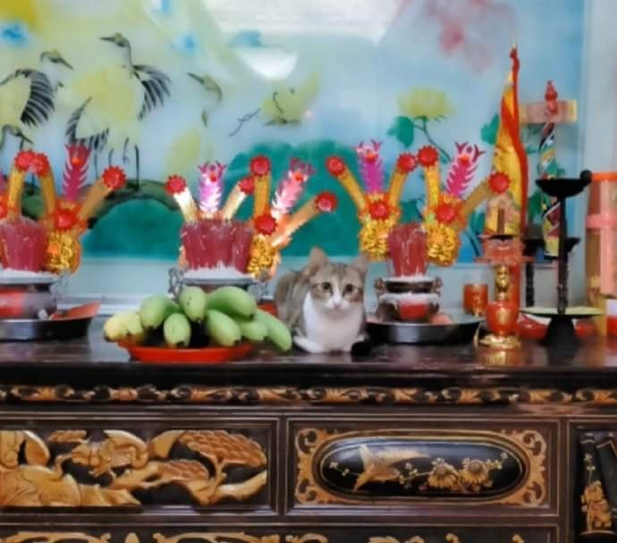 Vào một ngày đẹp trời, bàn thờ tổ tiên bỗng có thêm bức "tượng".