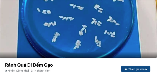 Không chỉ netizen Việt Nam mà những người bạn quốc tế cũng tò mò trước trào lưu đếm gạo.