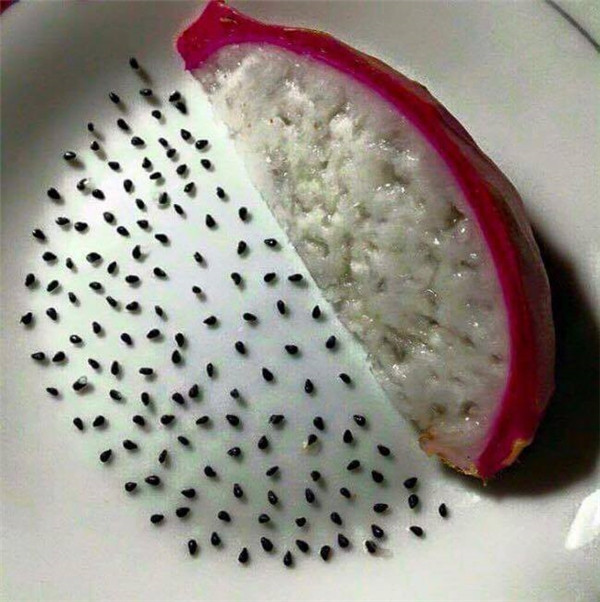 Một số ý kiến còn cho rằng thay vì bỏ thời gian vào game, những trò tiêu khiển là đếm hạt thanh long có thể giúp chúng ta luyện tay, luyện mắt và cả sự kiên nhẫn.