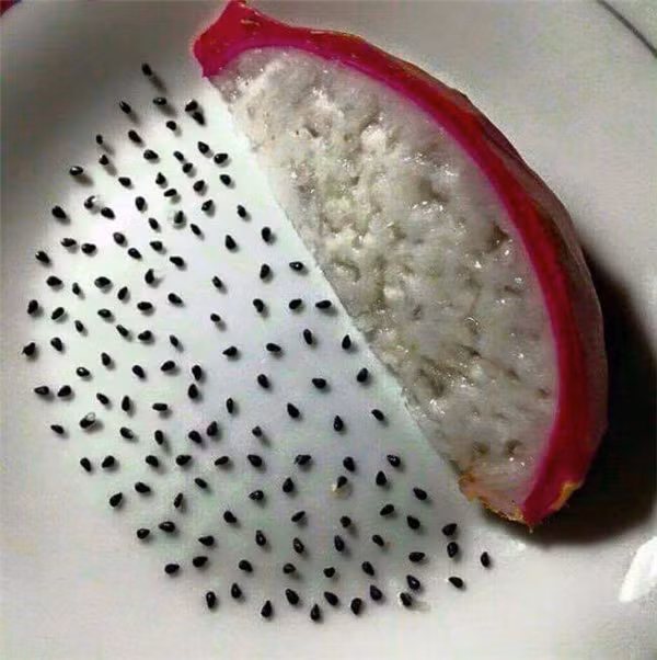 Một số ý kiến còn cho rằng thay vì bỏ thời gian vào game, những trò tiêu khiển là đếm hạt thanh long có thể giúp chúng ta luyện tay, luyện mắt và cả sự kiên nhẫn.