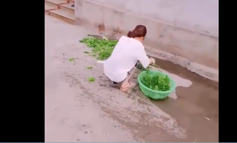 Màn vẩy rau sống của cô gái không thể thất bại hơn đã làm cho cộng đồng mạng được trận cười nắc nẻ. Để sửa sai cho mình, cô phải ngồi nhặt lại và đem rửa lại lần nữa.