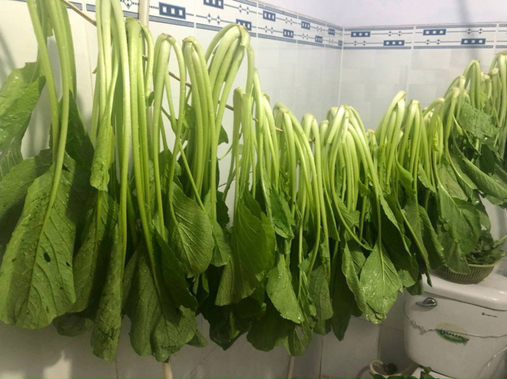 Để xác minh, một netizen sống cùng khu vực đã trực tiếp nhắn tin đến người này để tìm hiểu thực hư. Khi được chất vấn về vấn đề vẫn còn thực phẩm, ăn uống đầy đủ mới gần đây, phía người đàn ông chỉ nói "ok cám ơn".