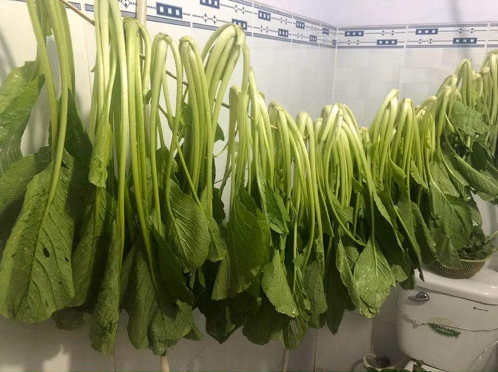 Để xác minh, một netizen sống cùng khu vực đã trực tiếp nhắn tin đến người này để tìm hiểu thực hư. Khi được chất vấn về vấn đề vẫn còn thực phẩm, ăn uống đầy đủ mới gần đây, phía người đàn ông chỉ nói "ok cám ơn".