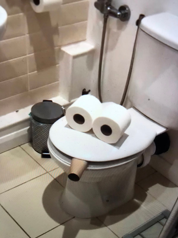 Theo đó, trên trang Twitter, một người dùng đã dùng 2 cuộn giấy vệ sinh và một chiếc lõi thừa để "ô biến" chiếc bồn cầu quen thuộc trong nhà thành một khuôn mặt đang hút điếu xì-gà.