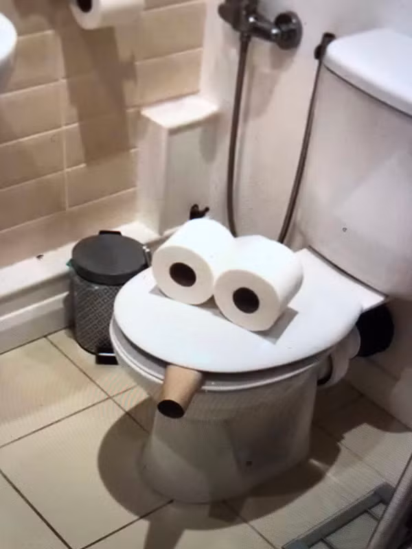 Theo đó, trên trang Twitter, một người dùng đã dùng 2 cuộn giấy vệ sinh và một chiếc lõi thừa để "ô biến" chiếc bồn cầu quen thuộc trong nhà thành một khuôn mặt đang hút điếu xì-gà.