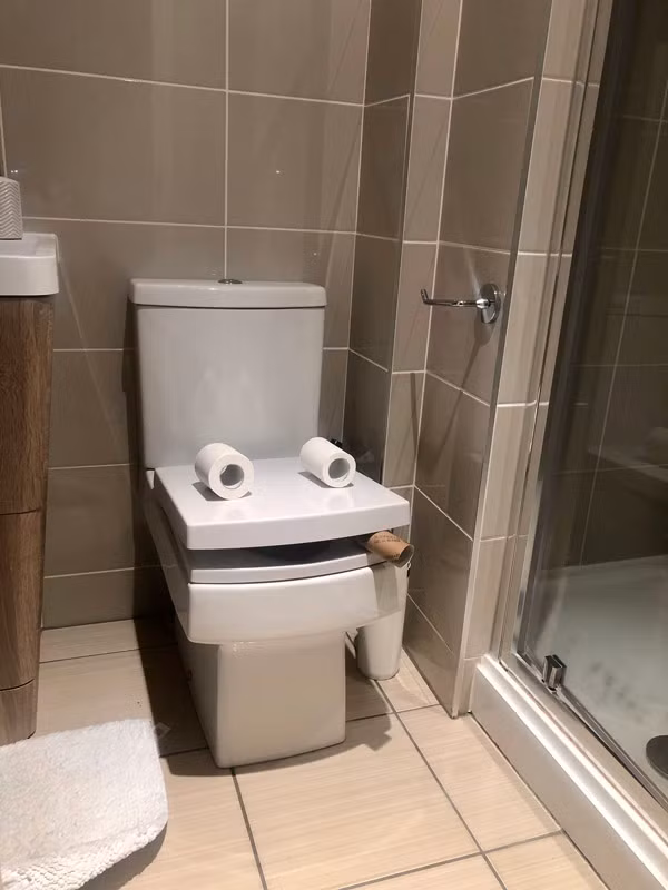 Ngoài giấy vệ sinh và lõi giấy bỏ đi, dân mạng còn tận dụng những đồ dùng, vật liệu khác có sẵn trong nhà để sáng tạo ra các khuôn mặt có biểu cảm hài hước và tư thế tạo dáng khác nhau.