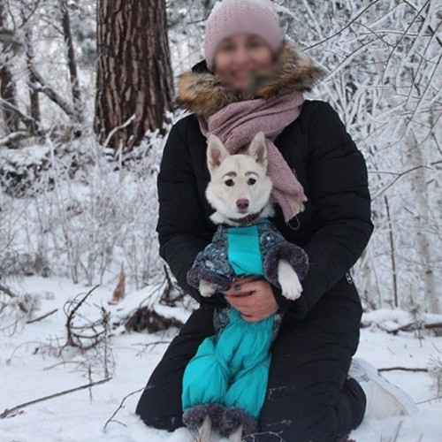 Sau khi được giải cứu, đội cứu hộ từng thử tìm kiếm gia đình mới cho chú chó có lông mày đặc biệt nhưng bất thành, có khá nhiều người đã từ chối nhận nuôi sau khi thấy cặp lông mày kì lạ.