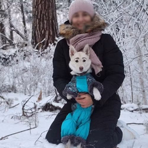 Sau khi được giải cứu, đội cứu hộ từng thử tìm kiếm gia đình mới cho chú chó có lông mày đặc biệt nhưng bất thành, có khá nhiều người đã từ chối nhận nuôi sau khi thấy cặp lông mày kì lạ.