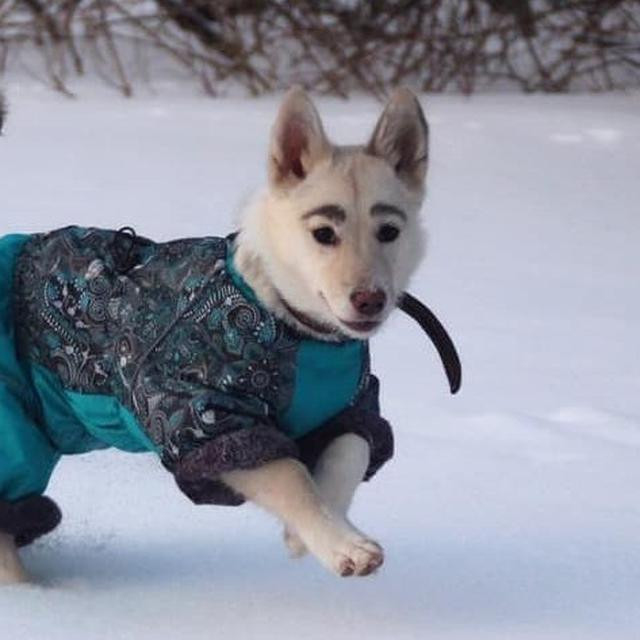 Những hình ảnh của Betty ngập tràn trên MXH vì bộ lông mày tự nhiên, đặc biệt của mình.