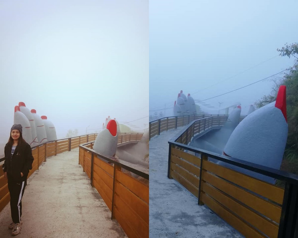 Không ít cư dân mạng, trong đó rất nhiều người là người dùng mạng xứ Trung đã chỉ ra điểm tương đồng này. Và cũng từ đó, người ta gọi cây cầu này là bản "fake" của Cầu Vàng ở Việt Nam.