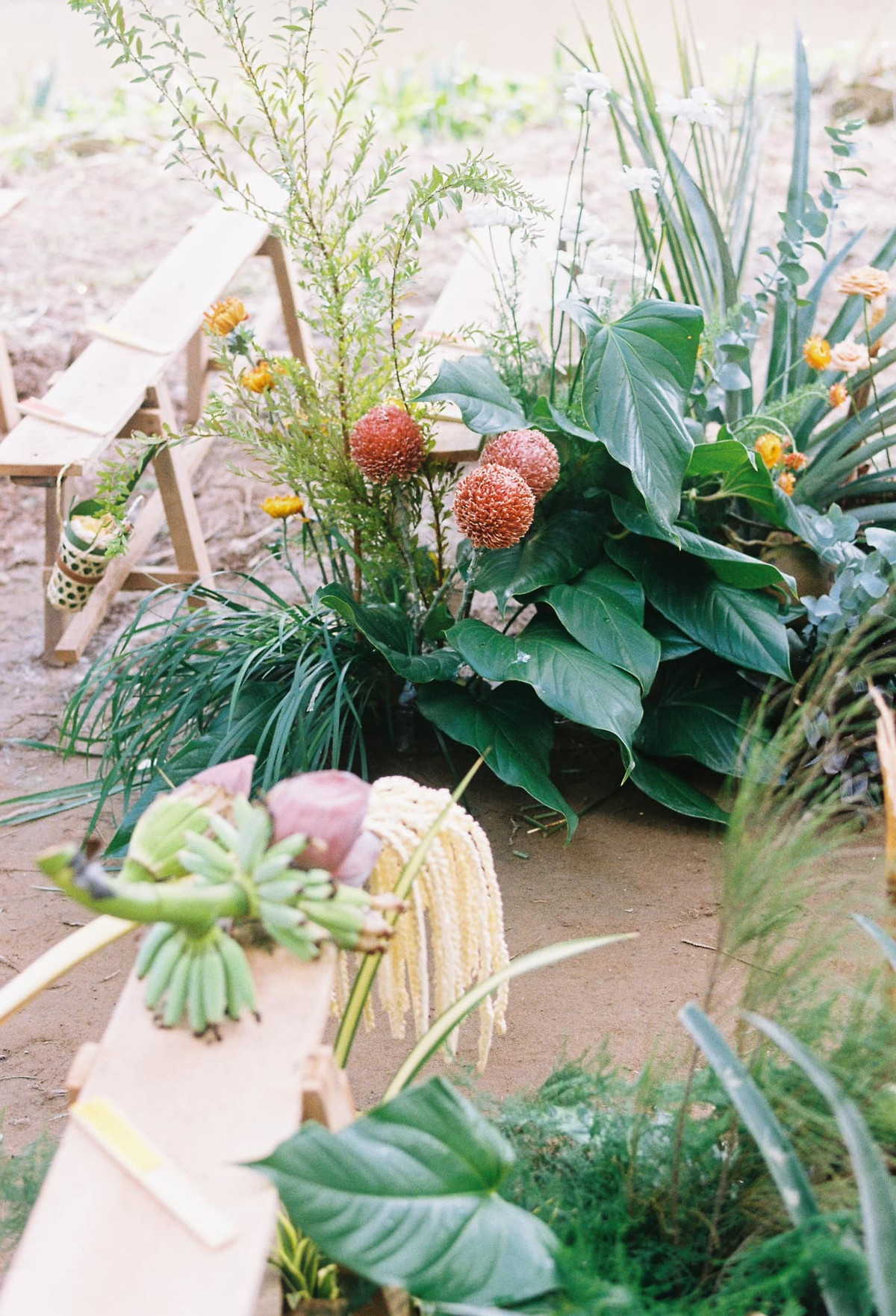 Dù được tổ chức một cách giản dị nhưng đám cưới giữa vườn dừa vẫn toát lên vẻ sang trọng, tinh tế của chủ nhân.