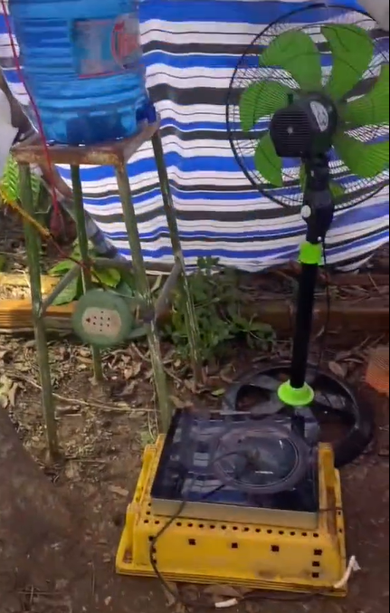 Ba mẹ cũng đã chuẩn bị sẵn cho cô nàng giường, đệm, gối, mền, mùng, còn có cả quạt để sẵn trong túp lều này.