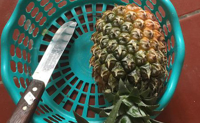 Thời gian qua, những câu chuyện về quả dứa thu hút sự chú ý của cộng động mạng. Đặc biệt nhưng pha gọt dứa thảm họa được các netizen lan truyền rộng rãi và bình luận nhiệt tình.