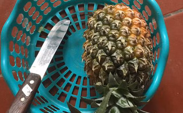 Thời gian qua, những câu chuyện về quả dứa thu hút sự chú ý của cộng động mạng. Đặc biệt nhưng pha gọt dứa thảm họa được các netizen lan truyền rộng rãi và bình luận nhiệt tình.