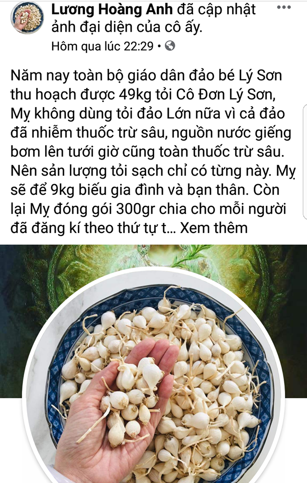 Tung tin “toi Ly Son nhiem thuoc tru sau”, FB Luong Hoang Anh bi phat nang?