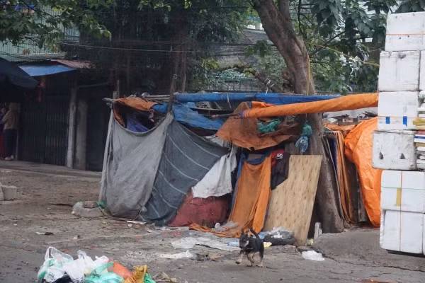 Túp lều xập xệ nhất chợ Long Biên là nơi cư trú của vợ chồng bà Bích.