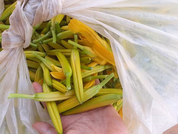 Loai hoa ban nua trieu/kg, ba noi tro dua nhau mua