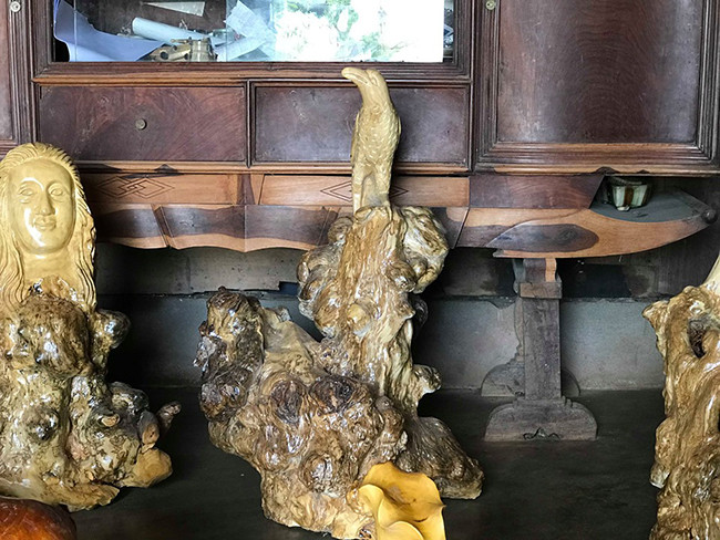 Trưởng bản cho hay sau khi có thương lái ngoài Bắc vào hỏi mua với số lượng lớn, ông đã vận động người dân trong bản đi tìm về bán, ông là người thu mua. "Họ rất vui vì có thêm thu nhập từ cây cà phê, có người đi tìm cả đêm, sáng hôm sau mới đem đến bán", ông nói tiếp. Theo lời trưởng bản, nhiều thế hệ dân làng Cơ Ho sống nhờ cây cà phê. Những cây cà phê tuổi đời 80-90 năm có gốc xù xì, u bướu chết khô thường hay làm củi đốt. Ông thấy điều đó rất lãng phí nên đã đem về tạo tác.