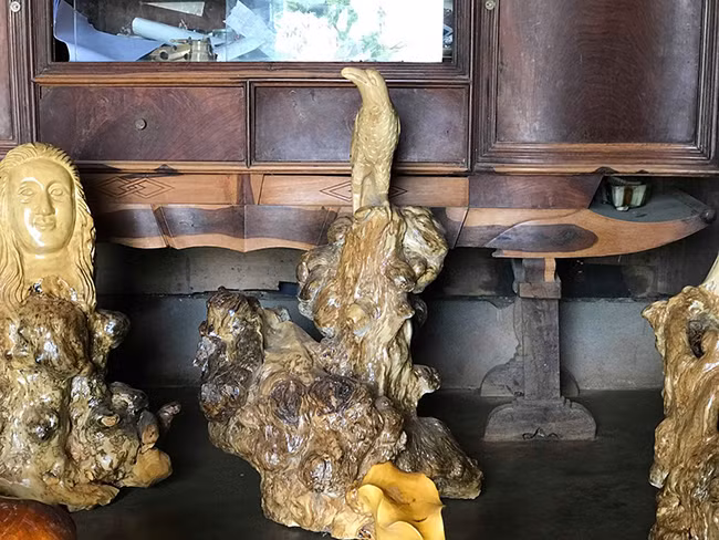 Trưởng bản cho hay sau khi có thương lái ngoài Bắc vào hỏi mua với số lượng lớn, ông đã vận động người dân trong bản đi tìm về bán, ông là người thu mua. "Họ rất vui vì có thêm thu nhập từ cây cà phê, có người đi tìm cả đêm, sáng hôm sau mới đem đến bán", ông nói tiếp. Theo lời trưởng bản, nhiều thế hệ dân làng Cơ Ho sống nhờ cây cà phê. Những cây cà phê tuổi đời 80-90 năm có gốc xù xì, u bướu chết khô thường hay làm củi đốt. Ông thấy điều đó rất lãng phí nên đã đem về tạo tác.