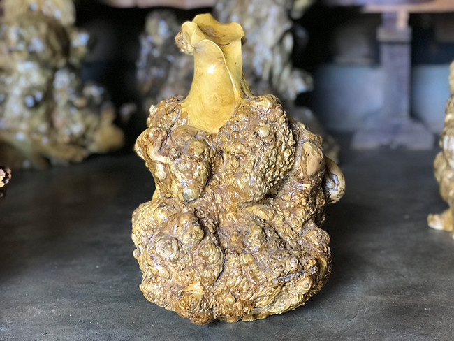 Những khối u sần sùi của cây cà phê chính là những họa tiết đắt giá mà những loại cây gỗ khác khó có được.Ông K’ha tự nhận mình không phải là một nghệ nhân, ông làm theo ý thích, tạo tác theo hình thù gốc cây cà phê.