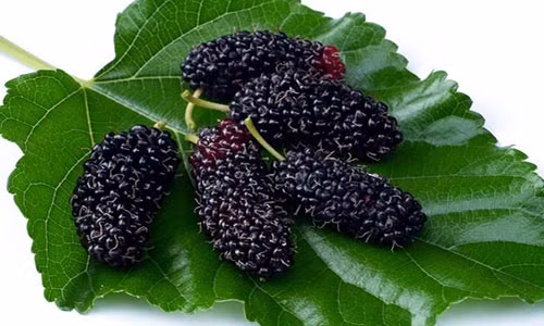 Ảnh minh họa. Nguồn: baidu.