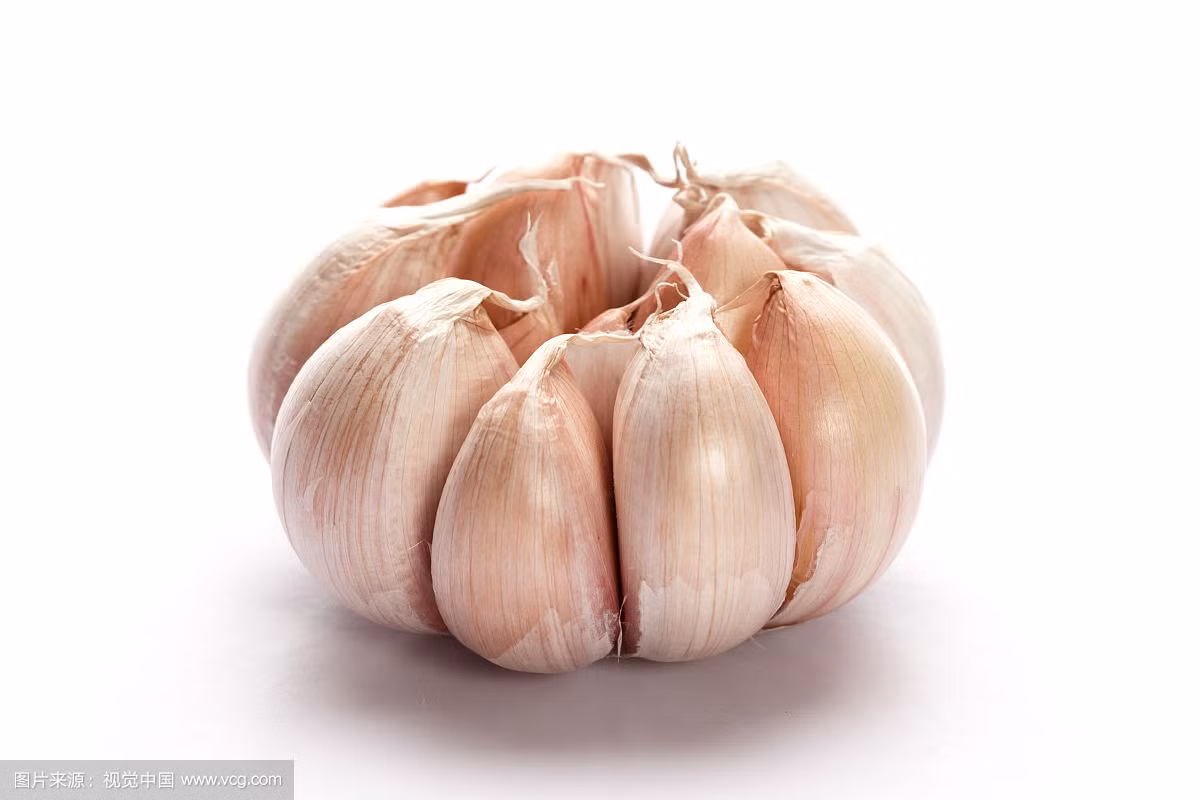 Tuy nhiên không phải vì thế mà đàn ông từ bỏ món tỏi bởi thực phẩm này có thể giúp kích thích ăn uống, phòng chống ung thư.