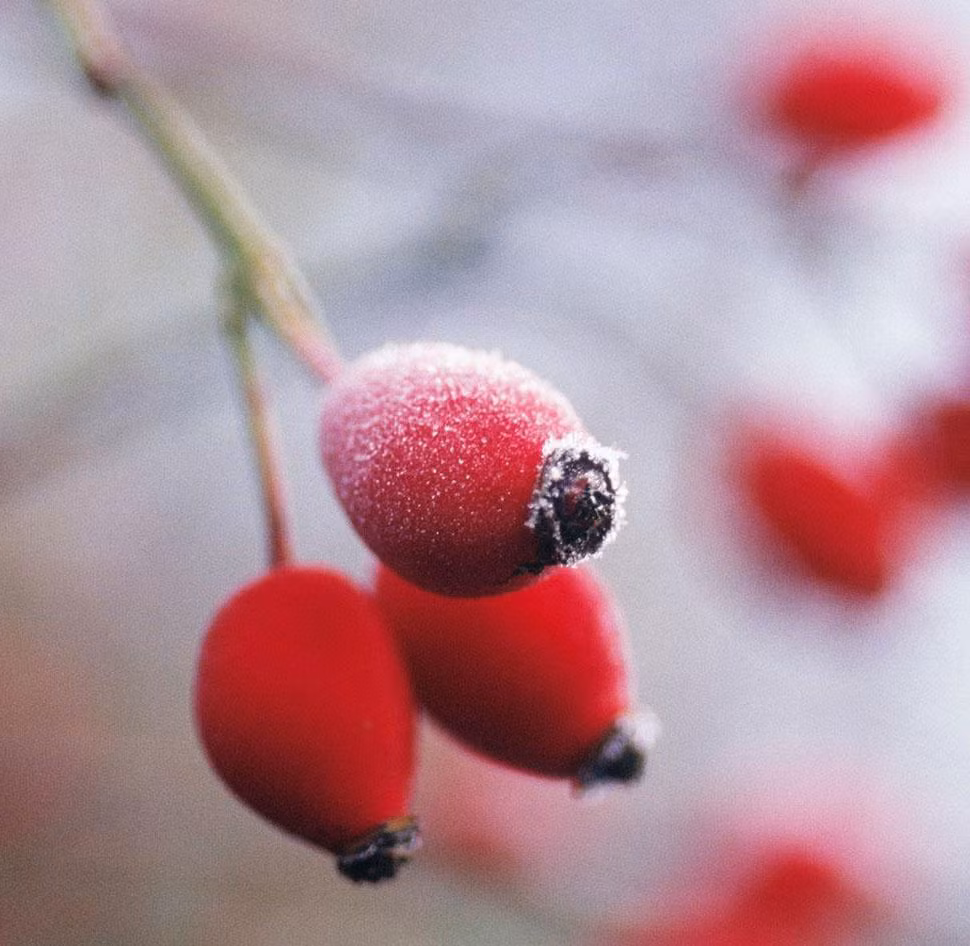 Tuổi Thân: Công việc: Mọi việc bắt đầu vào guồng khiến bạn vô cùng bận rộn, cố gắng sắp xếp thời gian để có thời gian nghỉ ngơi, tránh lao lực ảnh hưởng đến sức khỏe. Tài vận: Bình thường, có thể đầu tư dài hạn. Tình cảm: Những bạn đơn thân có cơ hội gặp được người trong mộng, cố gắng chủ động duy trì tốt mối quan hệ này. Hướng vượng tài: Xuất hành hướng Đông Nam, kỵ hướng Tây Bắc. Màu sắc vượng vận: Màu vàng, màu trắng gạo. Quý nhân: Tuổi Thìn.