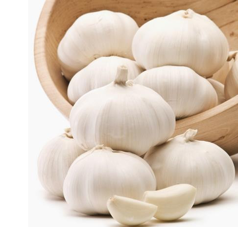 Có nhiều nghiên cứu đã chỉ ra, tỏi là thực phẩm có vị cay dễ phát tán, tuy tốt cho sức khỏe nhưng nếu đàn ông ăn nhiều tỏi sẽ ảnh hưởng đến số lượng và chất lượng "con giống".