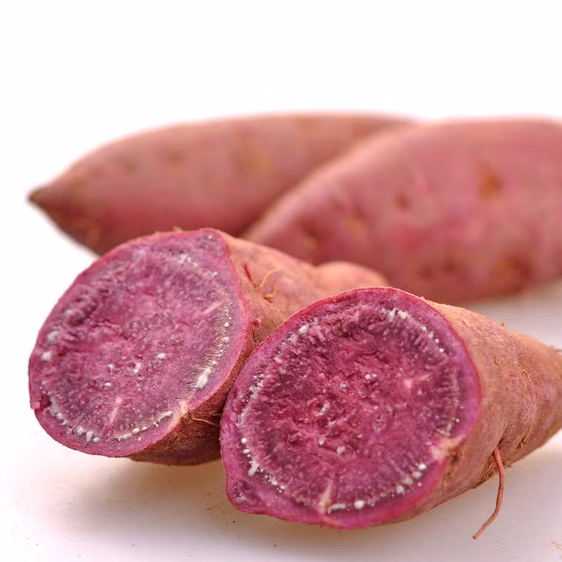 Đối với những người tiêu hóa kém nên hạn chế ăn khoai lang. Người đau dạ dày không nên ăn nhiều khoai lang đặc biệt là lúc đói.