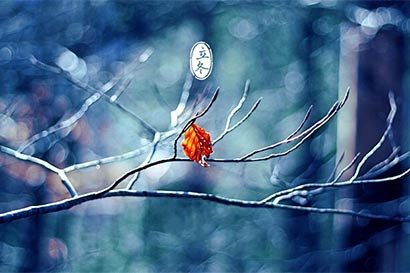 Tuổi Tuất: Công việc: Thái độ nghiêm túc, chủ động tích cực trong công việc giúp bạn tạo được ấn tượng tốt với cấp trên và đối tác. Tài vận: Đầu tư nên thận trọng, chỉ nên vừa sức mình. Tình cảm: Có cơ hội gặp được người như ý, tuy nhiên cần phải chủ động hơn mới mong duy trì được mối quan hệ này. Hướng vượng tài: Xuất hành hướng Nam, kỵ hướng Đông Bắc. Màu sắc vượng vận: Màu xanh da trời. Quý nhân: Tuổi Dần.