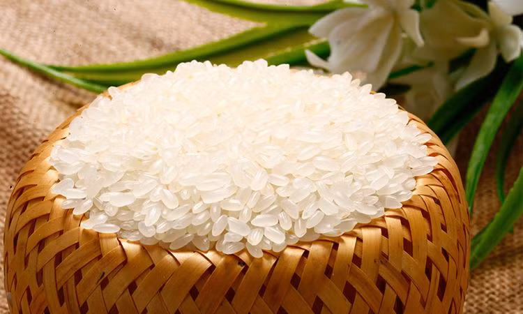 Có hai nguyên nhân khiến gạo bị vàng: Hàm lượng nước trong gạo tương đối cao, do bảo quản không tốt dễ sinh ra nấm mốc như penicillium, penicillium citrinum... 