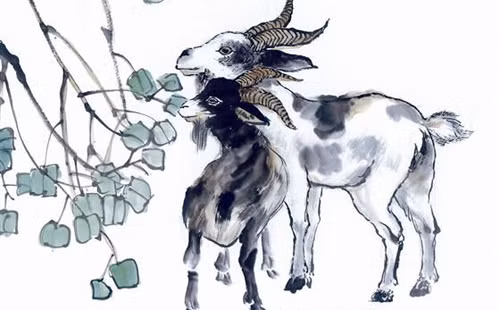 Tháng 8 (Tân Dậu): Sự nghiệp tương đối ổn định, có được sự trợ giúp của các quý nhân, những ai đang xin việc sẽ gặp lợi, những người làm công ăn lương gặp khó khăn, trở ngại sẽ có người giúp đỡ, nhớ phải luôn khiêm tốn. Tài vận chi tiêu tương đối nhiều. Tình cảm dễ quay lại với người cũ, những ai đã kết hôn tình cảm vợ chồng mặn nồng, thắm thiết. Sức khỏe cần phải chú ý an toàn khi đi xa, đặc biệt là khi lái xe. Hướng cát tường: Hướng Chính Tây, hướng Tây Nam. Màu sắc may mắn: Màu ghi, màu trắng gạo.