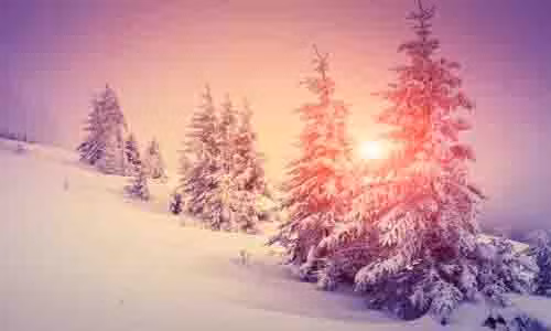 Tuổi Thìn: Công việc: Chăm chỉ, chủ động giúp bạn giải quyết nhanh gọn, ổn thỏa mọi việc. Tài vận: Có nhiều cơ hội tốt để gia tăng thu nhập, đừng bỏ lỡ. Tình cảm: Những bạn đơn thân có thể gặp được người mình yêu thích, hai người nói chuyện tâm đầu ý hợp. Hướng vượng tài: Xuất hành hướng Tây Nam, kỵ hướng Đông Nam. Màu sắc vượng vận: Màu trắng. Quý nhân: Tuổi Thân.