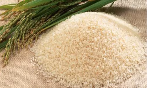 Gạo tẻ là thực phẩm không thiếu được trong mọi căn bếp. Tuy nhiên nếu bảo quản không tốt sẽ khiến gạo bị biến màu, biến chất gây độc hại với cơ thể con người khi sử dụng.