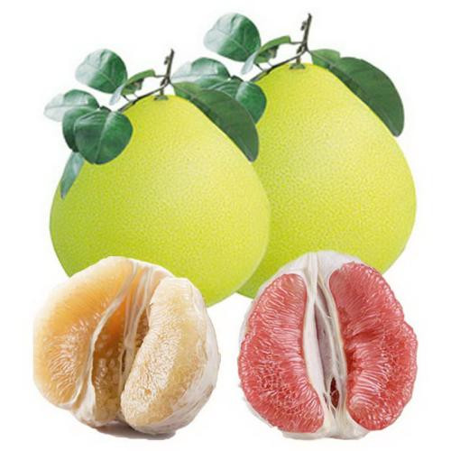 Đặc biệt là vào mùa Đông, khi thời tiết lạnh giá hanh khô, thành mạch có xu hướng co lại, bưởi chứa hoạt tính sinh học giúp giảm độ nhớt của máu, ăn nhiều bưởi sẽ giúp ngăn ngừa huyết khối, đột quỵ, tắc nghẽn mạch máu não cũng như các bệnh về huyết quản.