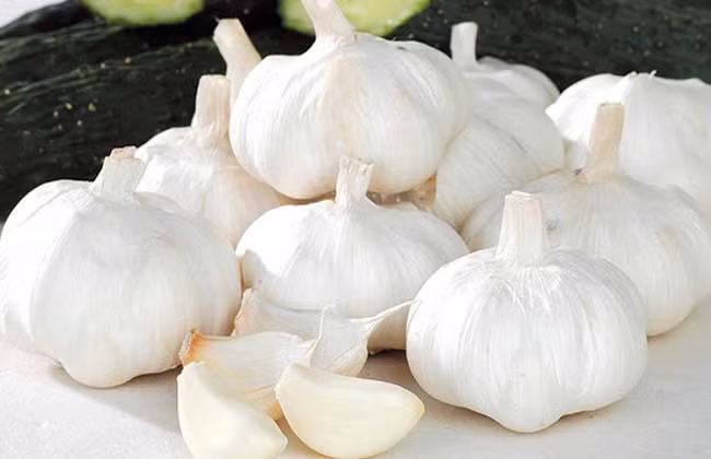 Tỏi giúp tăng cường hệ miễn dịch, trong đó chất selen có tác dụng chống oxy hóa rất mạnh, giúp ngăn ngừa ung thư.