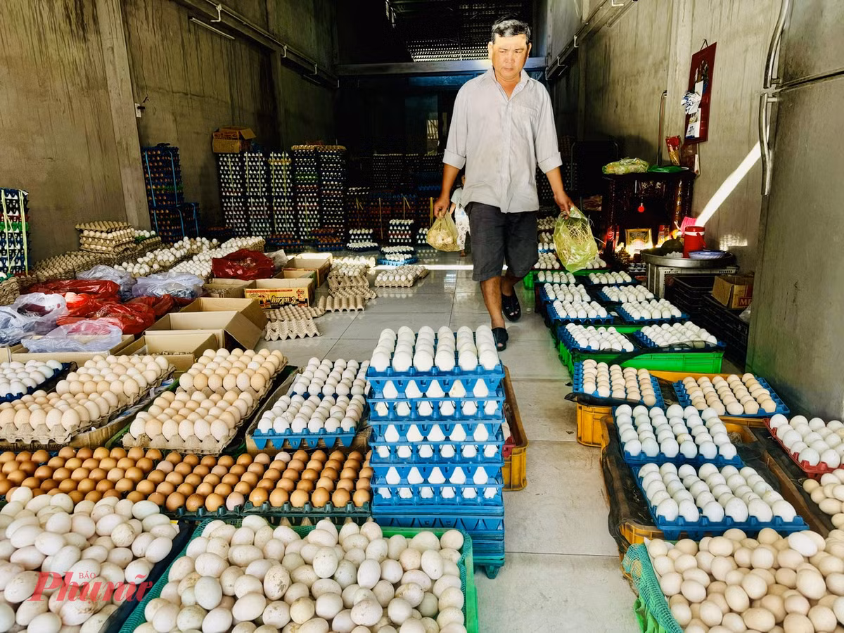 Trung ga ban do dong, gia re ky luc-Hinh-4