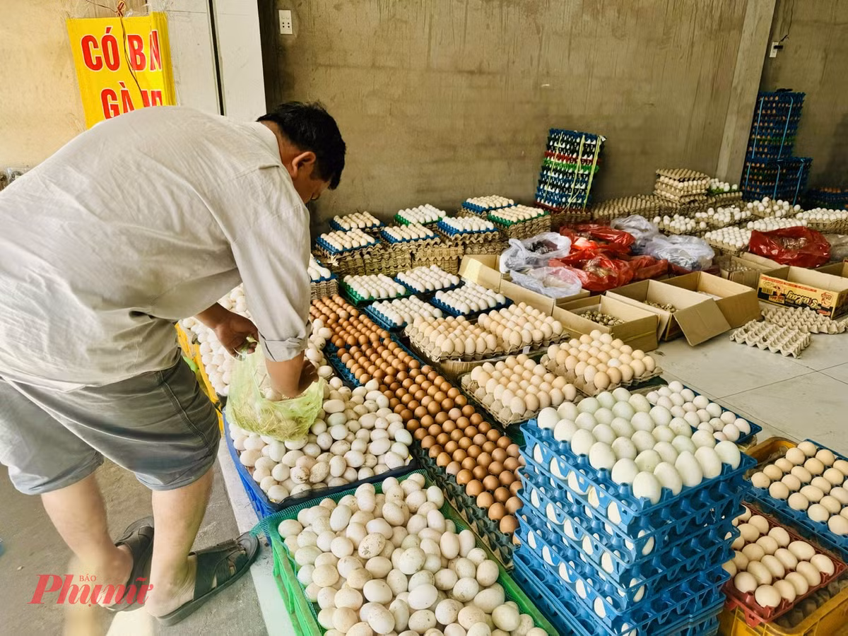 Trung ga ban do dong, gia re ky luc-Hinh-3