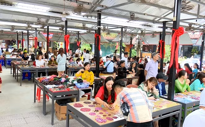 Kham pha Yen Bai mua lua chin vang dep nhat trong nam