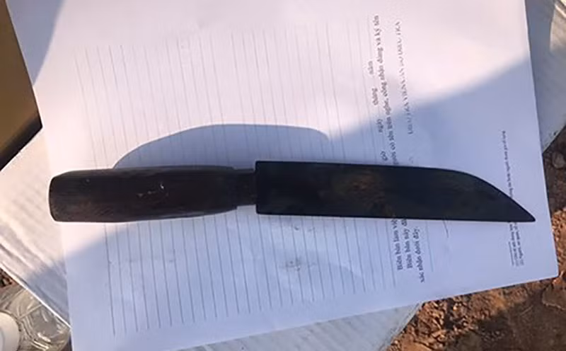 Rạng sáng 18/12, Thêm rủ chị N. đi buôn cá. Vốn là người tham công tiếc việc, lại muốn tranh thủ kiếm vài đồng để gia đình tiêu pha dịp Tết nên chị N. không mảy may nghi ngờ mà nhận lời đi cùng người bạn thân. Trước khi đi, Thêm đã chuẩn bị dao để chờ cơ hội ra tay. Khoảng 3h cùng ngày, khi cả hai tới địa phận thôn Hố Trúc (xã Cẩm Lý, Lục Nam), nhận thấy đoạn đường vắng, Thêm đã dùng dao đâm, cứa cổ chị N. tới chết. Nhằm tạo dựng hiện trường giả, Thêm tháo hoa tai và lấy điện thoại của nạn nhân quăng xuống hồ nước ngay gần đó. Xong xuôi, Thêm quay trở về trong tình trạng hoảng hốt, sợ hãi thông báo với gia đình nạn nhân về vụ giết người, cướp tài sản. (Con dao gây án) 