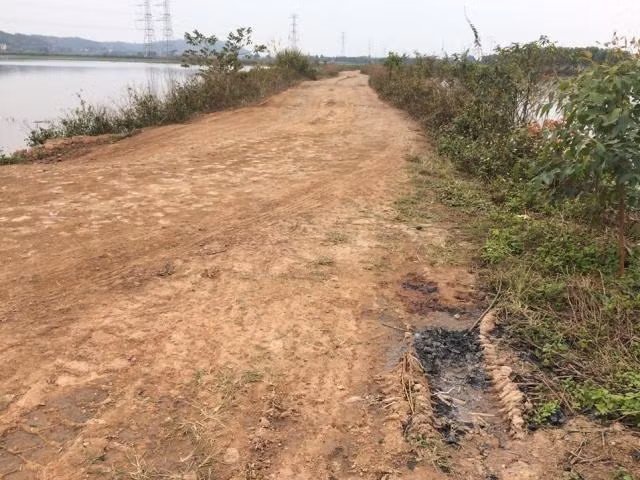 Do thời điểm xảy ra sự việc được xác định vào lúc rạng sáng, tại khu vực vắng vẻ, các dấu vết gần như bị kẻ thủ ác xóa sạch đã khiến cơ quan điều tra gặp vô vàn khó khăn. Nhân chứng duy nhất của vụ án là Trần Thị Thêm (SN 1982, hàng xóm và cũng là bạn thân của nạn nhân). Chính người này đã tìm tới nhà chị N. trong tâm trạng hốt hoảng, gào khóc không ngừng để thông báo cho gia đình nạn nhân về sự việc. Nhằm dựng lại diễn biến vụ án, cơ quan công an đã mời Trần Thị Thêm tới để lấy lời khai. (Khu vực nơi xảy ra sự việc) 