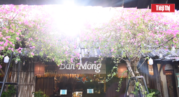 Cua Ngo Cafe gay sot gioi tre Da Nang boi khong gian dam net Tay Bac