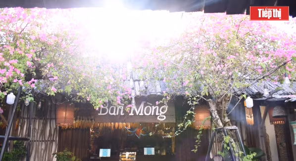 Cua Ngo Cafe gay sot gioi tre Da Nang boi khong gian dam net Tay Bac