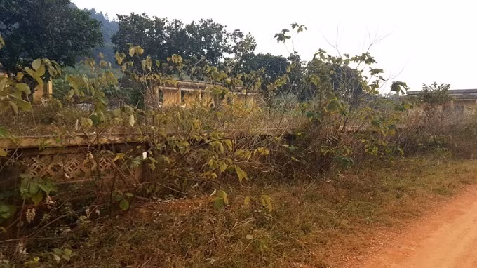 Ngay can Tet nghe chuyen tinh nhoi long o trai phong bo hoang Ha Noi